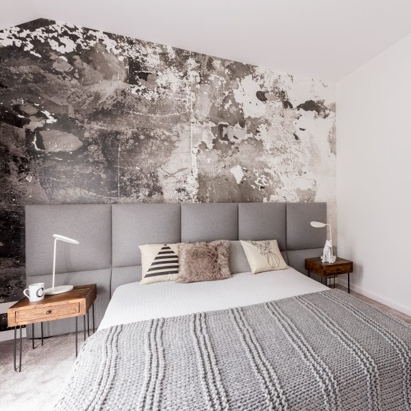 Stardust Modern Bed